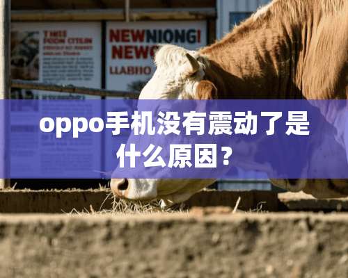 oppo手机没有震动了是什么原因？