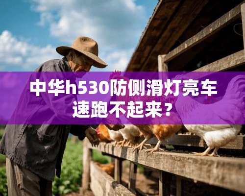 中华h530防侧滑灯亮车速跑不起来？