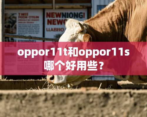 oppor11t和oppor11s哪个好用些？