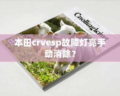 本田crvesp故障灯亮手动消除？