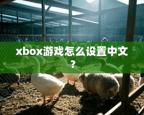 xbox游戏怎么设置中文？