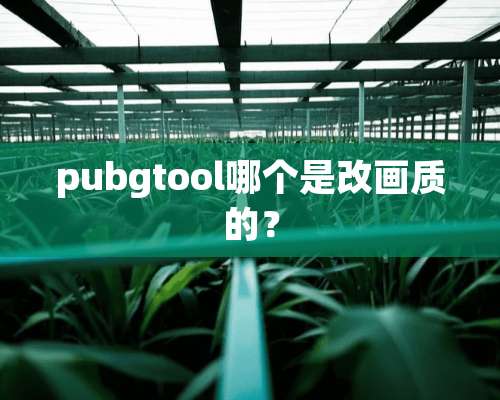 pubgtool哪个是改画质的？