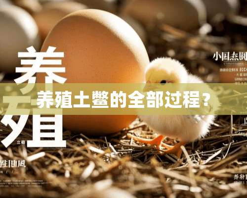 养殖土鳖的全部过程？