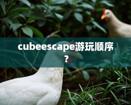 cubeescape游玩顺序？