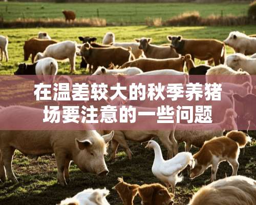 在温差较大的秋季养猪场要注意的一些问题