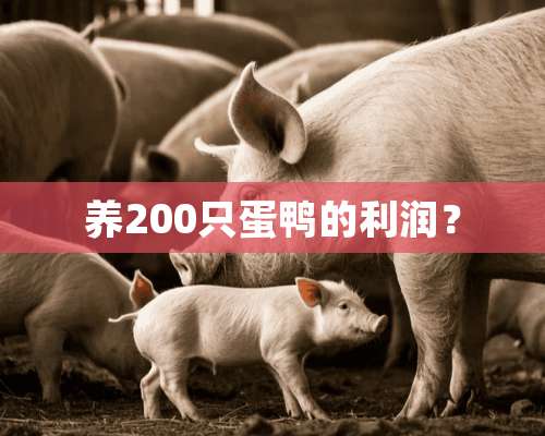 养200只蛋鸭的利润？