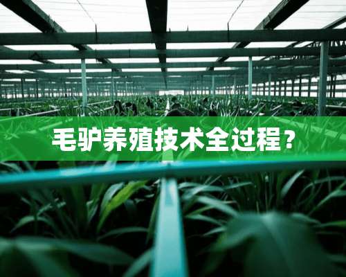 毛驴养殖技术全过程？