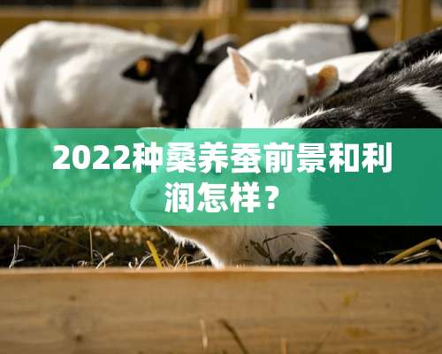 2022种桑养蚕前景和利润怎样？