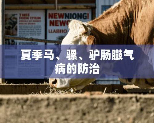 夏季马、骡、驴肠臌气病的防治