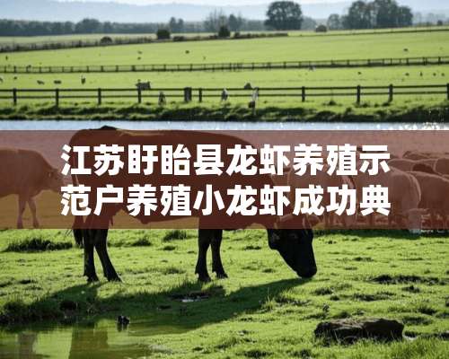 江苏盱眙县龙虾养殖示范户养殖小龙虾成功典范总结