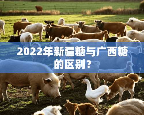 2022年新疆糖与广西糖的区别？