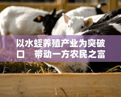 以水蛭养殖产业为突破口　带动一方农民之富