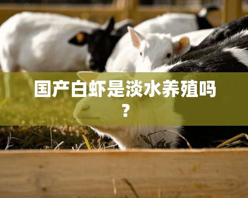 国产白虾是淡水养殖吗？