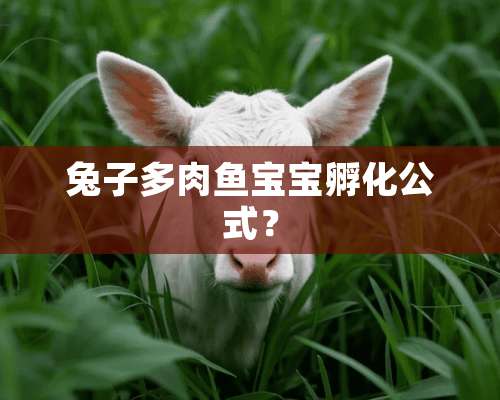 兔子多肉鱼宝宝孵化公式？