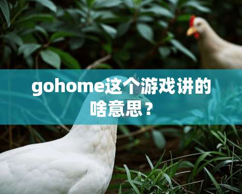 gohome这个游戏讲的啥意思？