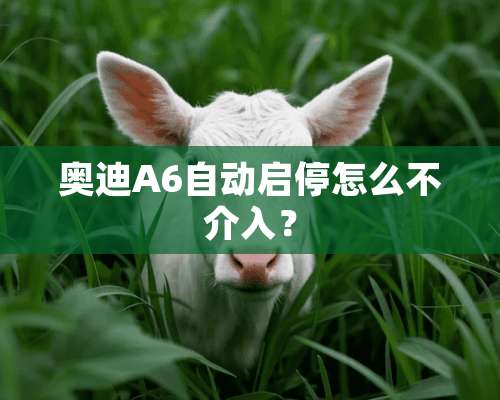 奥迪A6自动启停怎么不介入？