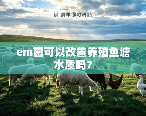 em菌可以改善养殖鱼塘水质吗？