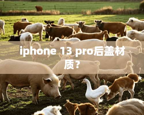 iphone 13 pro后盖材质？