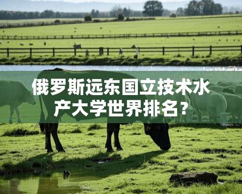 俄罗斯远东国立技术水产大学世界排名？