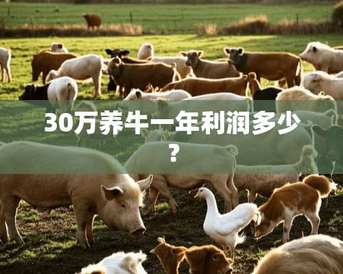 30万养牛一年利润多少？