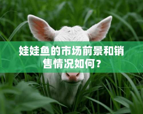 娃娃鱼的市场前景和销售情况如何？