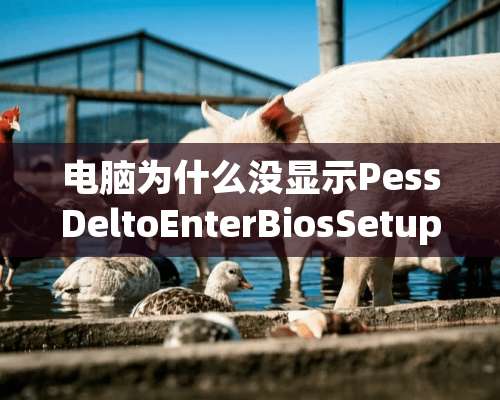 电脑为什么没显示PessDeltoEnterBiosSetup？