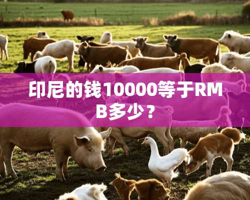 印尼的钱10000等于RMB多少？