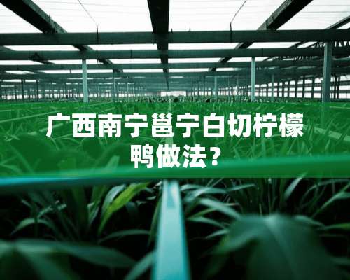 广西南宁邕宁白切柠檬鸭做法？