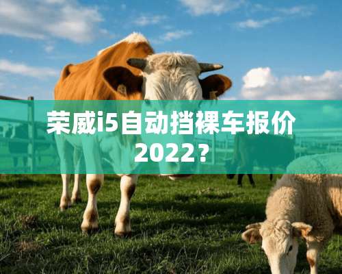 荣威i5自动挡*车报价2022？