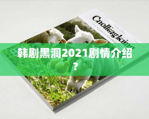 韩剧黑洞2021剧情介绍？