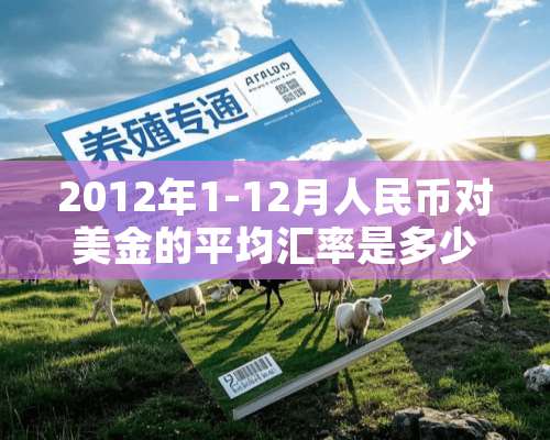 2012年1-12月人民币对美金的平均汇率是多少？