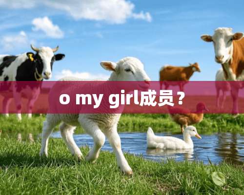 o my girl成员？