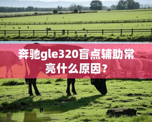 奔驰gle320盲点辅助常亮什么原因？