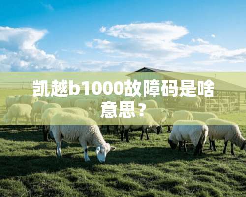 凯越b1000故障码是啥意思？