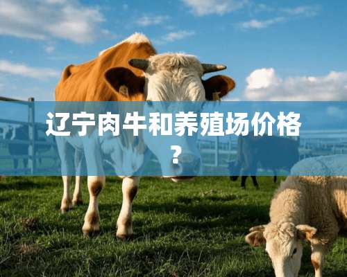 辽宁肉牛和养殖场价格？