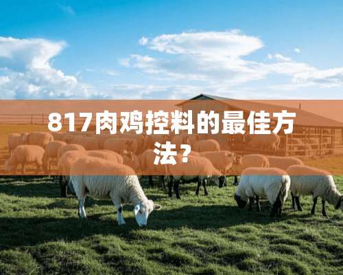 817肉鸡控料的最佳方法？