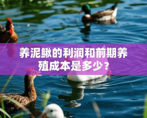 养泥鳅的利润和前期养殖成本是多少？