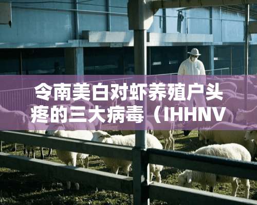 令南美白对虾养殖户头疼的三大**（IHHNV、WSSV、TSV）