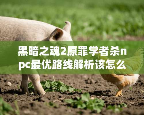 黑暗之魂2原罪学者杀npc最优路线解析该怎么杀npc？