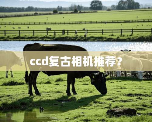 ccd复古相机推荐？