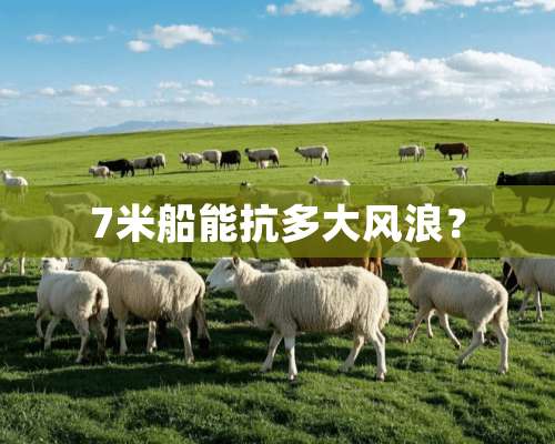 7米船能抗多大风浪？