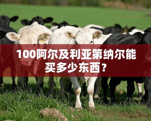 100阿尔及利亚第纳尔能买多少东西？