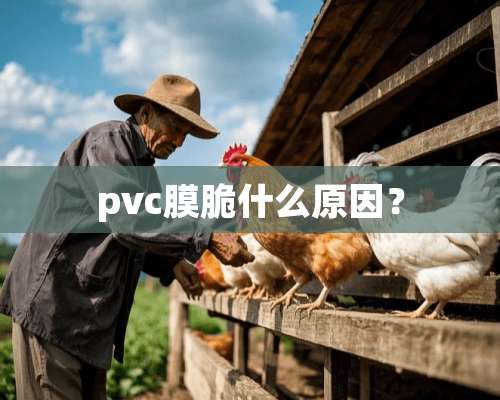 pvc膜脆什么原因？