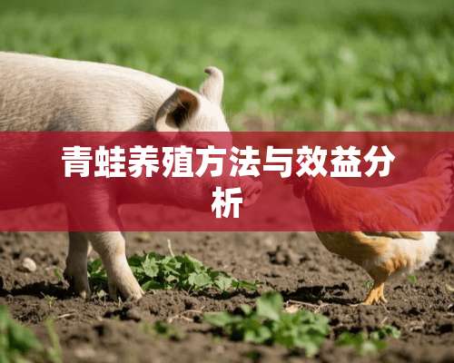 青蛙养殖方法与效益分析