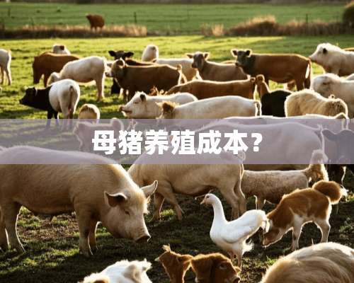 母猪养殖成本？