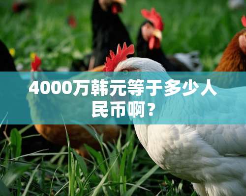 4000万韩元等于多少人民币啊？