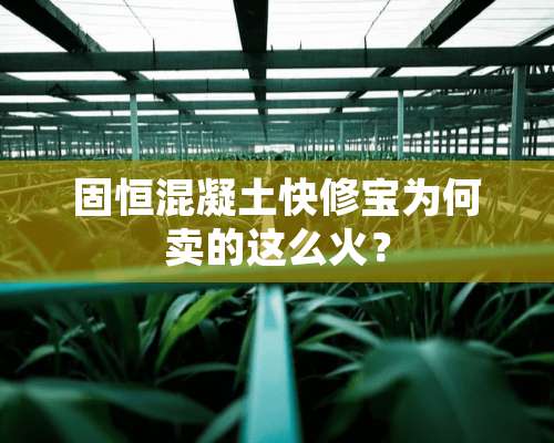 固恒混凝土快修宝为何卖的这么火？