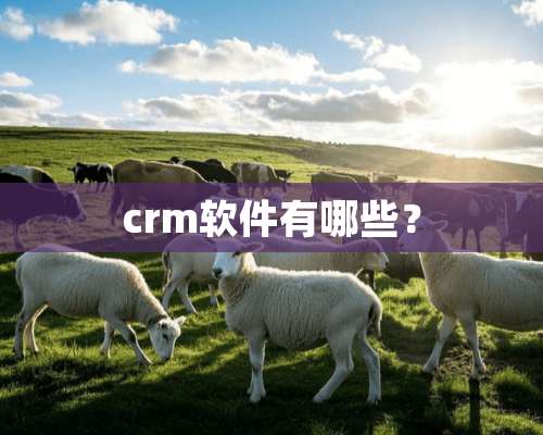 crm软件有哪些？