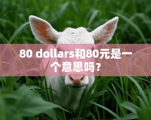 80 dollars和80元是一个意思吗？