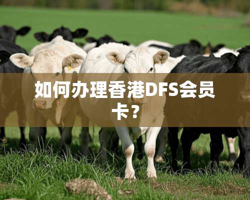 如何办理香港DFS会员卡？